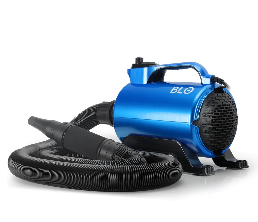 BLO AIR RS CAR DRYER